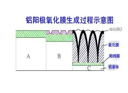 羞羞视频网站硬质阳极氧化膜生成过程